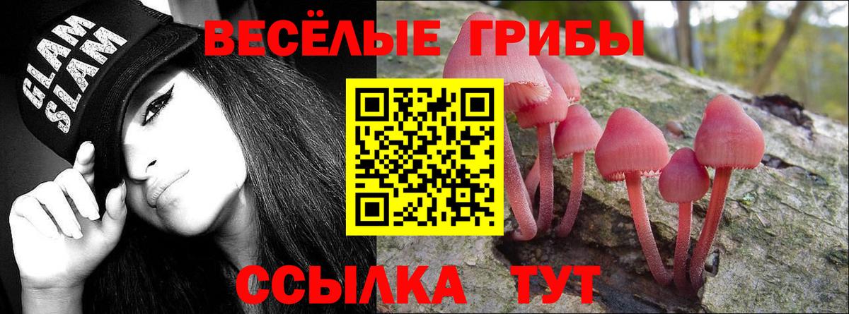 Галлюциногенные грибы ЛСД Ессентуки